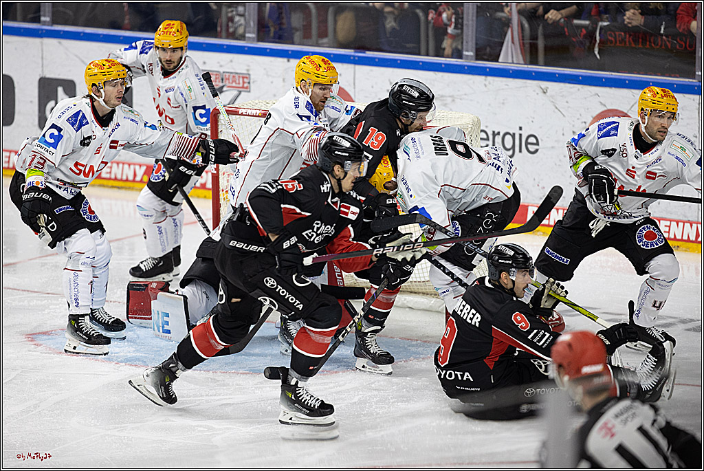 PENNY DEL 1; Kölner Haie - Fischtown Pinguins; Köln, 15.11.2024