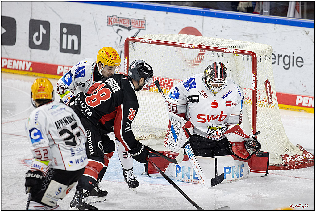 PENNY DEL 1; Kölner Haie - Fischtown Pinguins; Köln, 15.11.2024