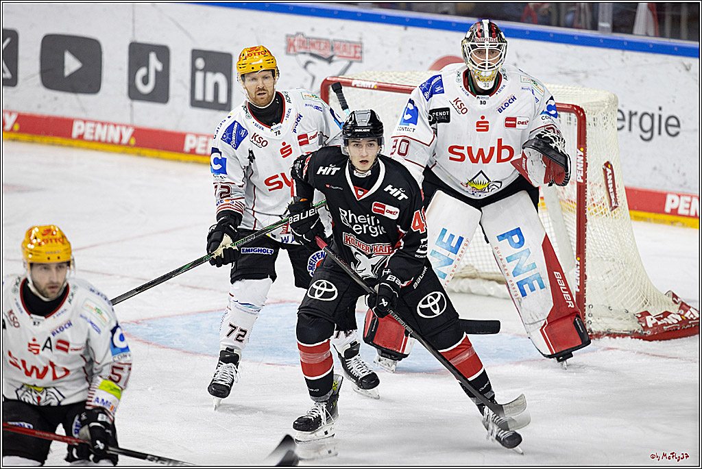 PENNY DEL 1; Kölner Haie - Fischtown Pinguins; Köln, 15.11.2024