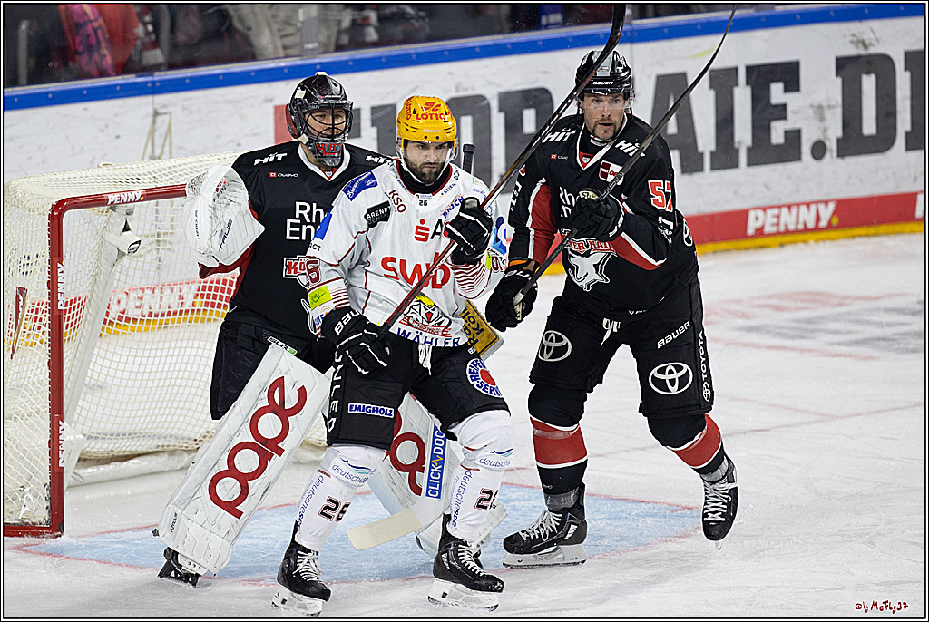 PENNY DEL 1; Kölner Haie - Fischtown Pinguins; Köln, 15.11.2024