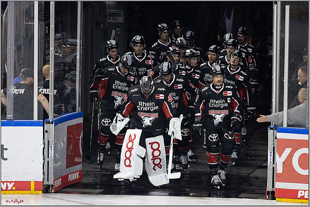 PENNY DEL 1; Kölner Haie - Fischtown Pinguins; Köln, 15.11.2024
