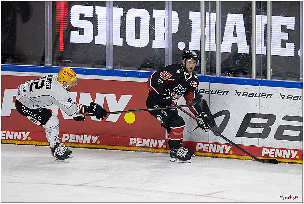 PENNY DEL 1; Kölner Haie - Fischtown Pinguins; Köln, 15.11.2024