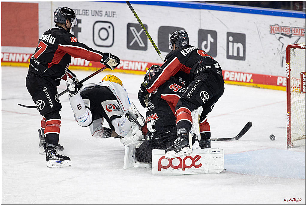 PENNY DEL 1; Kölner Haie - Fischtown Pinguins; Köln, 15.11.2024