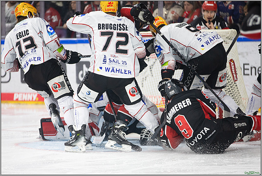 PENNY DEL; Koelner Haie-Pinguine Bremerhaven; Koeln, 15.11.2024