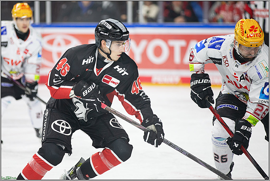 PENNY DEL; Koelner Haie-Pinguine Bremerhaven; Koeln, 15.11.2024