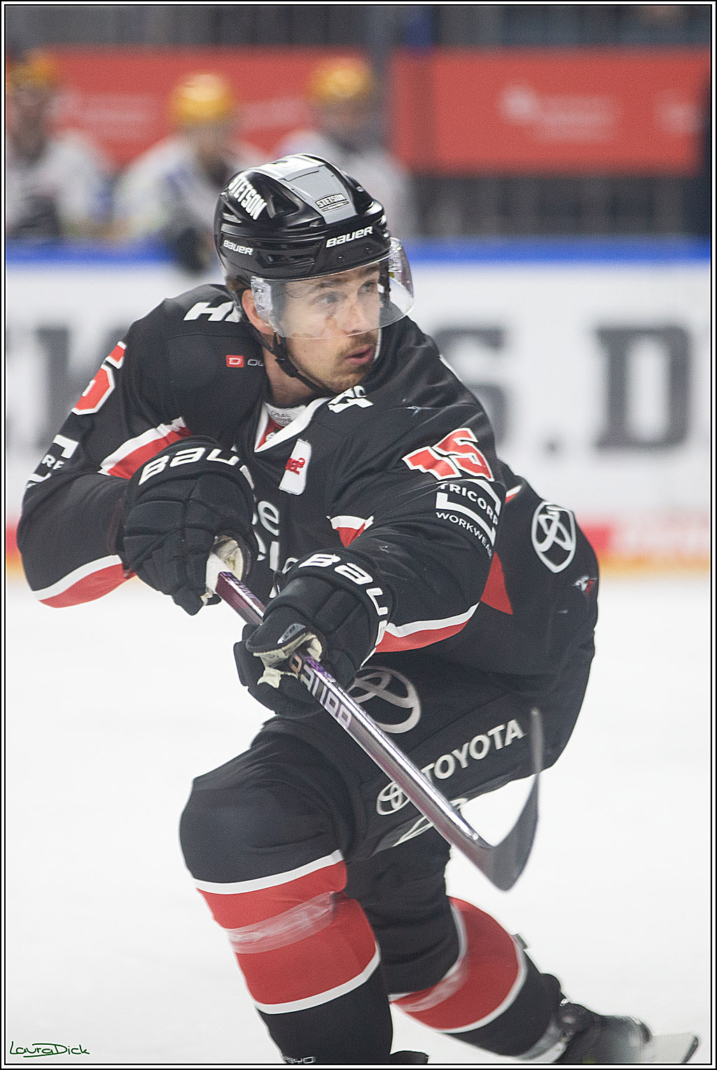 PENNY DEL; Koelner Haie-Pinguine Bremerhaven; Koeln, 15.11.2024