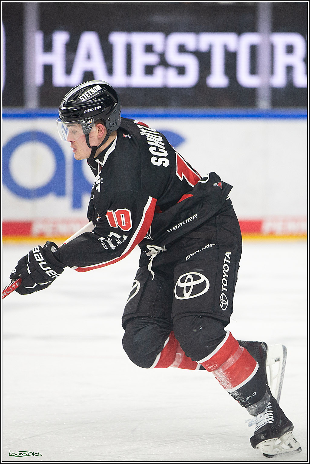 PENNY DEL; Koelner Haie-Pinguine Bremerhaven; Koeln, 15.11.2024