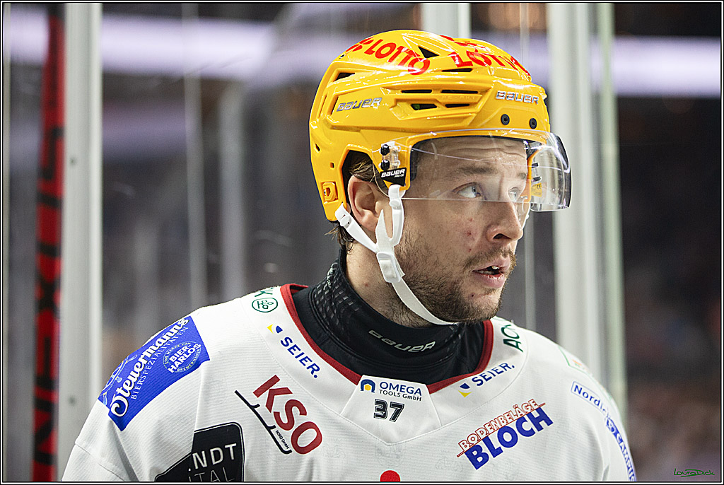 PENNY DEL; Koelner Haie-Pinguine Bremerhaven; Koeln, 15.11.2024
