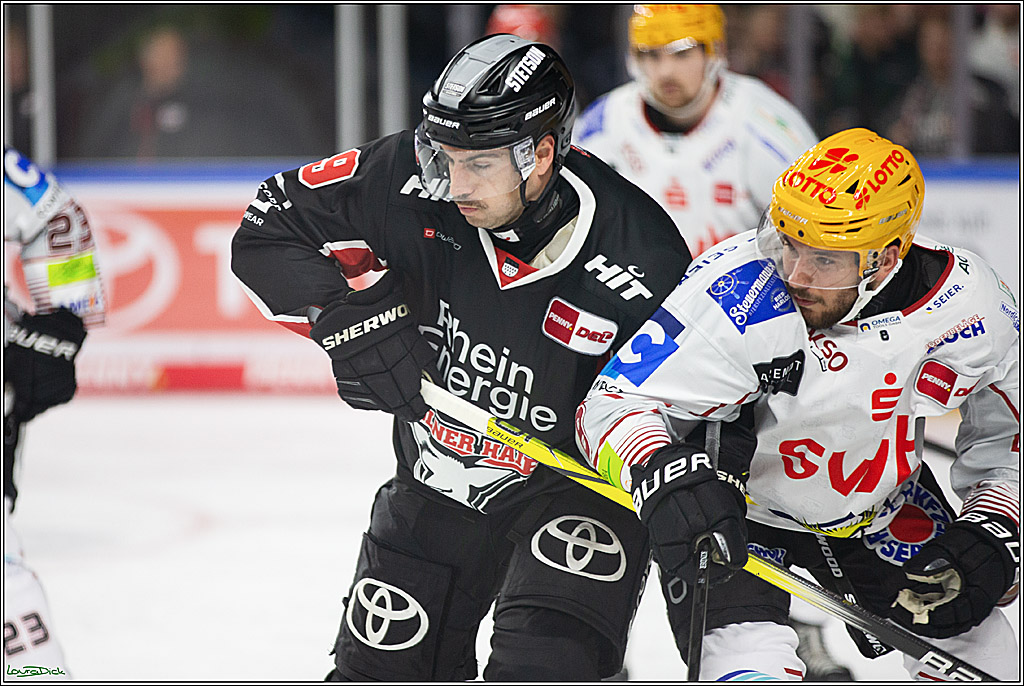 PENNY DEL; Koelner Haie-Pinguine Bremerhaven; Koeln, 15.11.2024