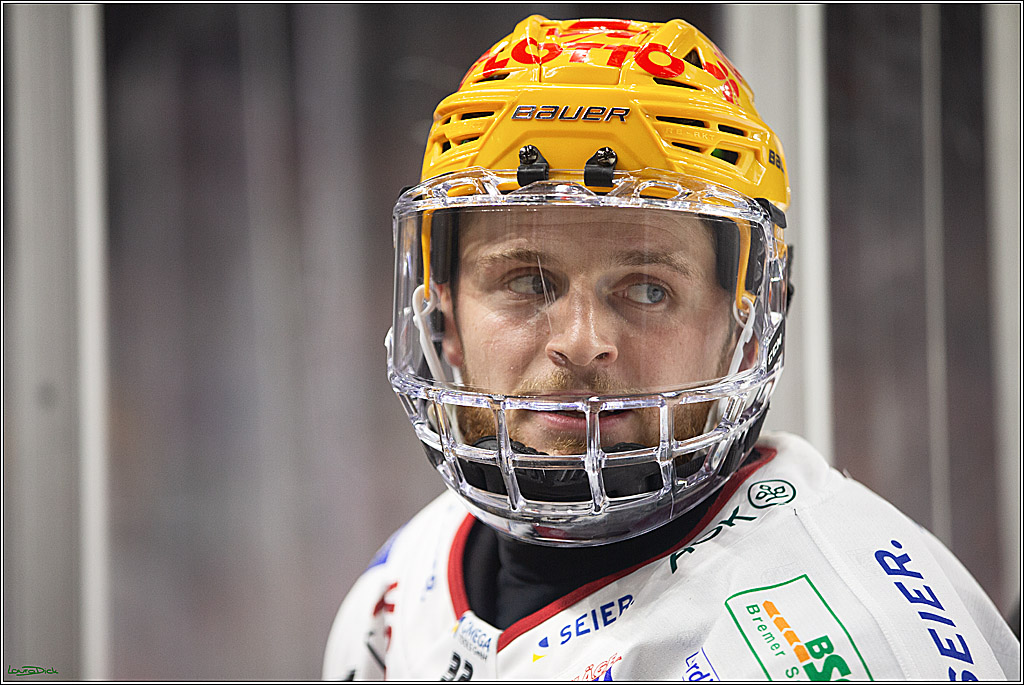 PENNY DEL; Koelner Haie-Pinguine Bremerhaven; Koeln, 15.11.2024