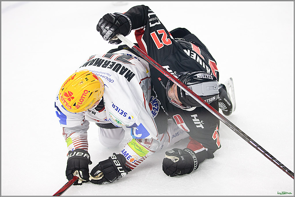 PENNY DEL; Koelner Haie-Pinguine Bremerhaven; Koeln, 15.11.2024