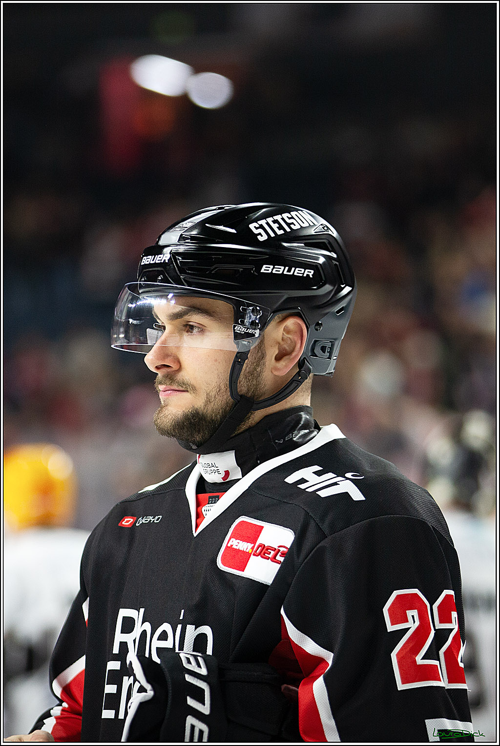 PENNY DEL; Koelner Haie-Pinguine Bremerhaven; Koeln, 15.11.2024
