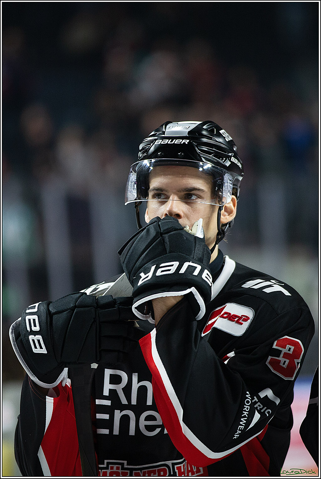 PENNY DEL; Koelner Haie-Pinguine Bremerhaven; Koeln, 15.11.2024