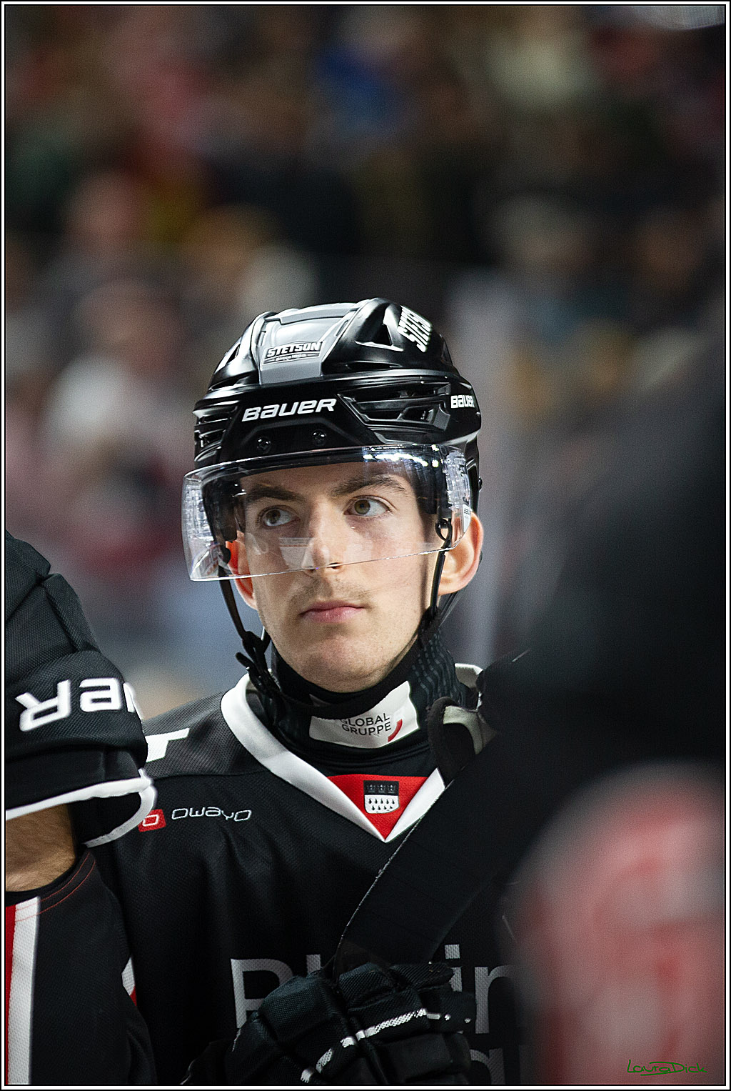 PENNY DEL; Koelner Haie-Pinguine Bremerhaven; Koeln, 15.11.2024