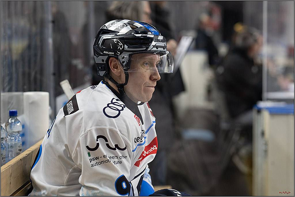 PENNY DEL 1; Kölner Haie - ERC Ingolstadt; Köln, 22.11.2024