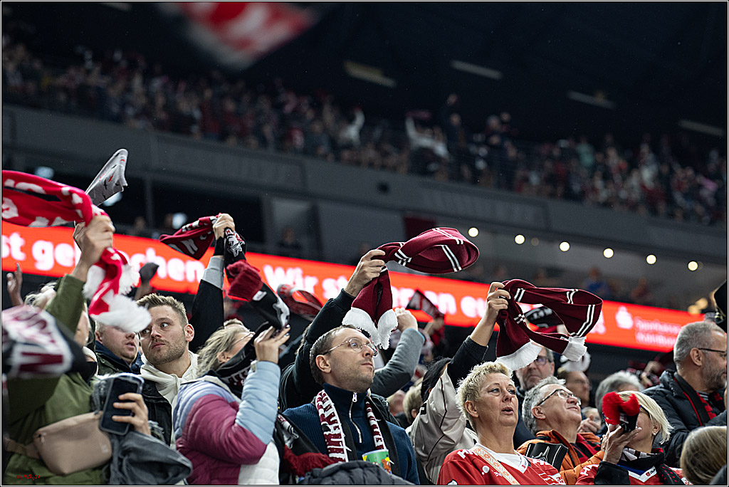 PENNY DEL 1; Kölner Haie - ERC Ingolstadt; Köln, 22.11.2024