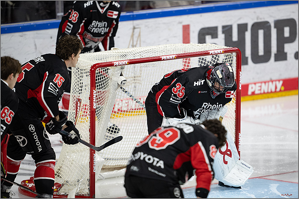 PENNY DEL 1; Kölner Haie - ERC Ingolstadt; Köln, 22.11.2024