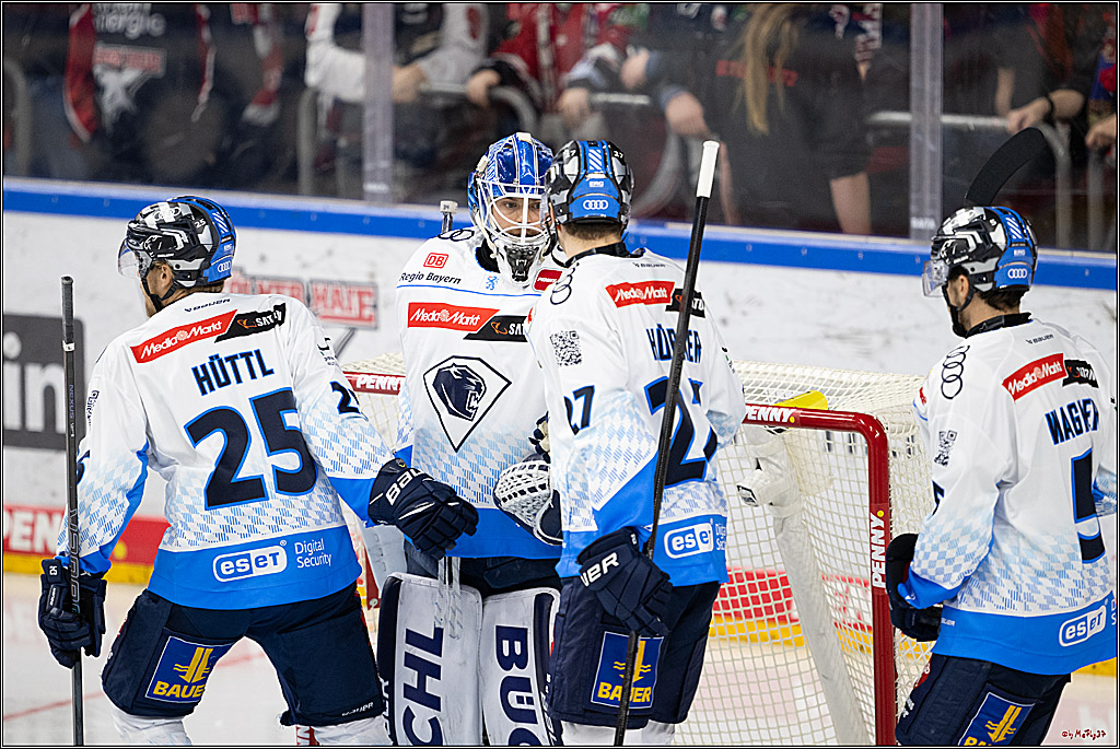 PENNY DEL 1; Kölner Haie - ERC Ingolstadt; Köln, 22.11.2024
