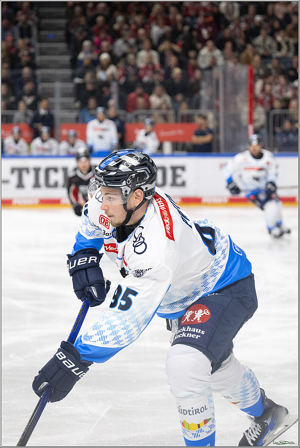 PENNY DEL; Koelner Haie-ERC Ingolstadt; Koeln, 22.11.2024