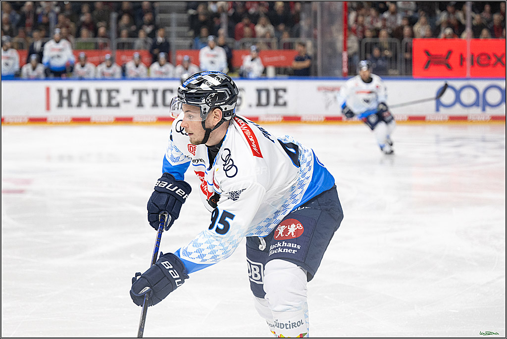 PENNY DEL; Koelner Haie-ERC Ingolstadt; Koeln, 22.11.2024