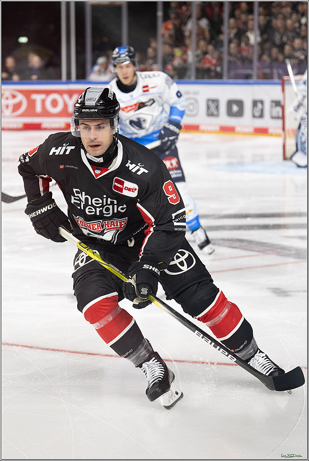 PENNY DEL; Koelner Haie-ERC Ingolstadt; Koeln, 22.11.2024