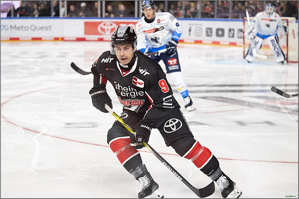 PENNY DEL; Koelner Haie-ERC Ingolstadt; Koeln, 22.11.2024