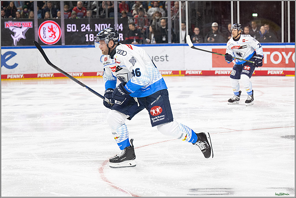 PENNY DEL; Koelner Haie-ERC Ingolstadt; Koeln, 22.11.2024