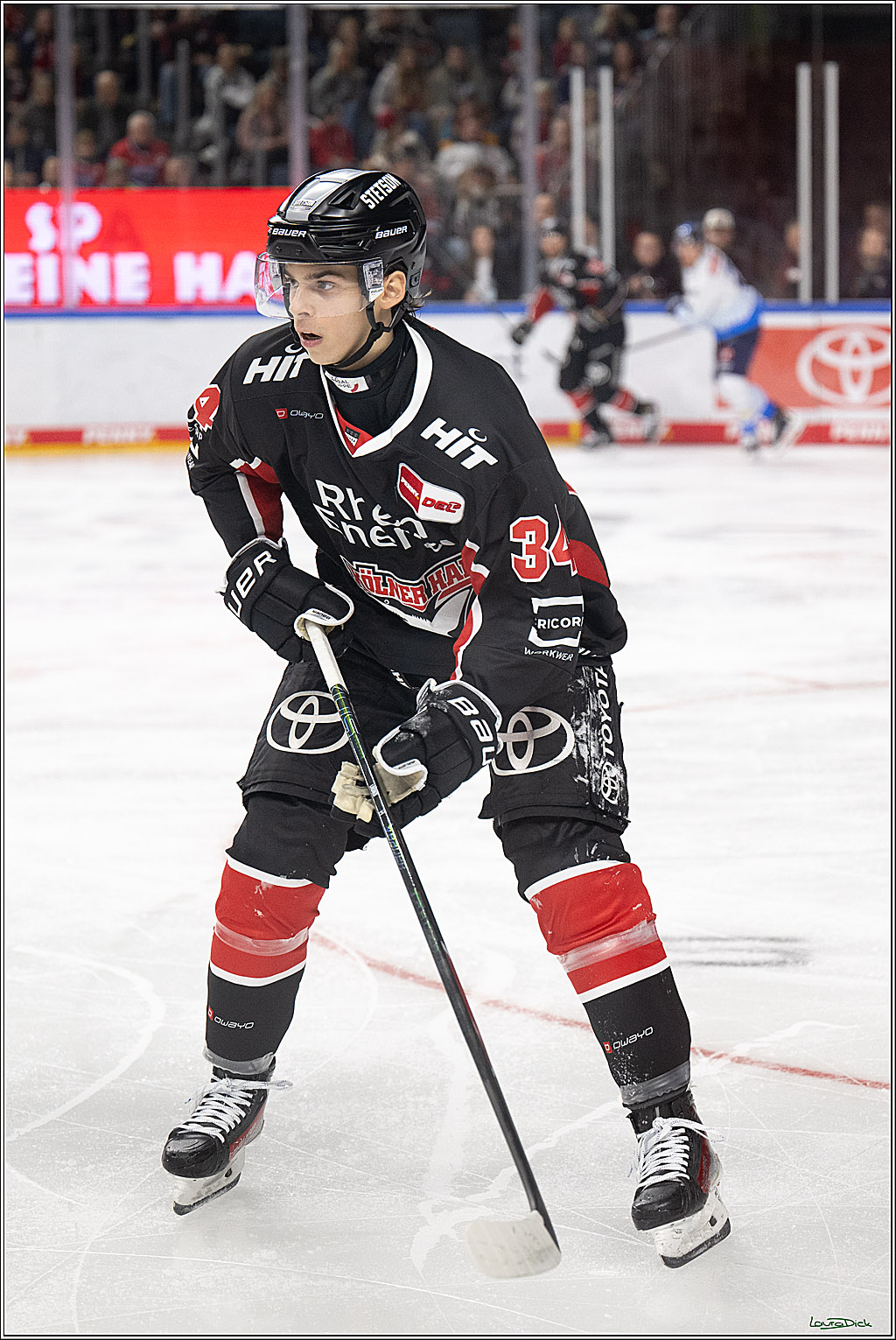 PENNY DEL; Koelner Haie-ERC Ingolstadt; Koeln, 22.11.2024