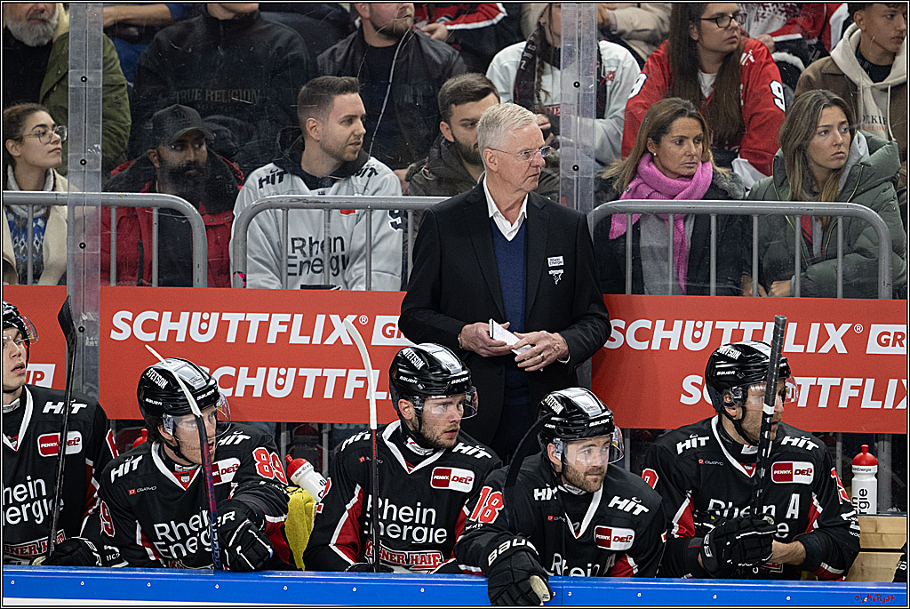 PENNY DEL 1; Kölner Haie - ERC Ingolstadt; Köln, 22.11.2024