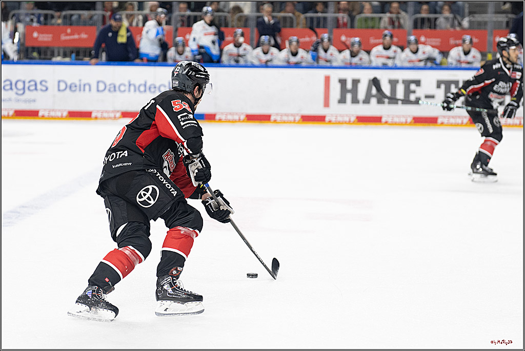 PENNY DEL 1; Kölner Haie - ERC Ingolstadt; Köln, 22.11.2024