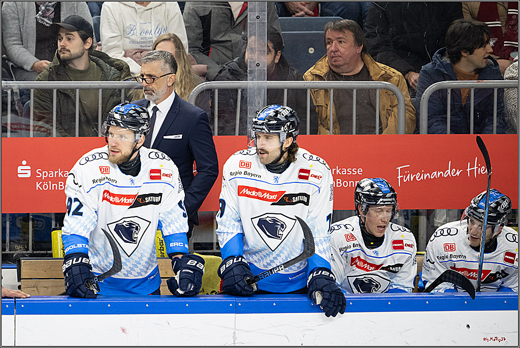 PENNY DEL 1; Kölner Haie - ERC Ingolstadt; Köln, 22.11.2024
