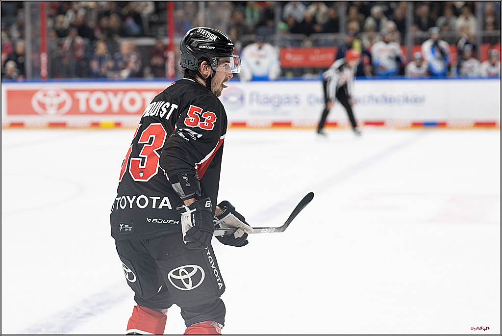 PENNY DEL 1; Kölner Haie - ERC Ingolstadt; Köln, 22.11.2024