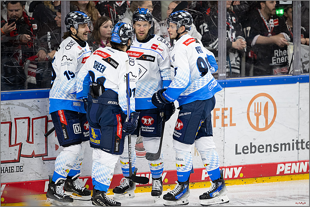 PENNY DEL 1; Kölner Haie - ERC Ingolstadt; Köln, 22.11.2024