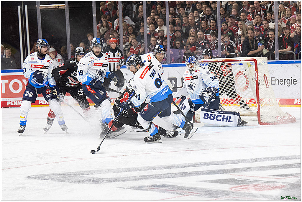 PENNY DEL; Koelner Haie-ERC Ingolstadt; Koeln, 22.11.2024