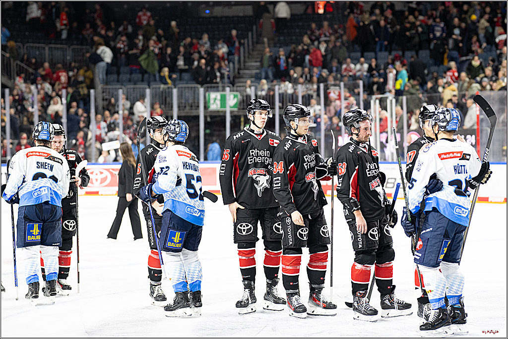 PENNY DEL 1; Kölner Haie - ERC Ingolstadt; Köln, 22.11.2024