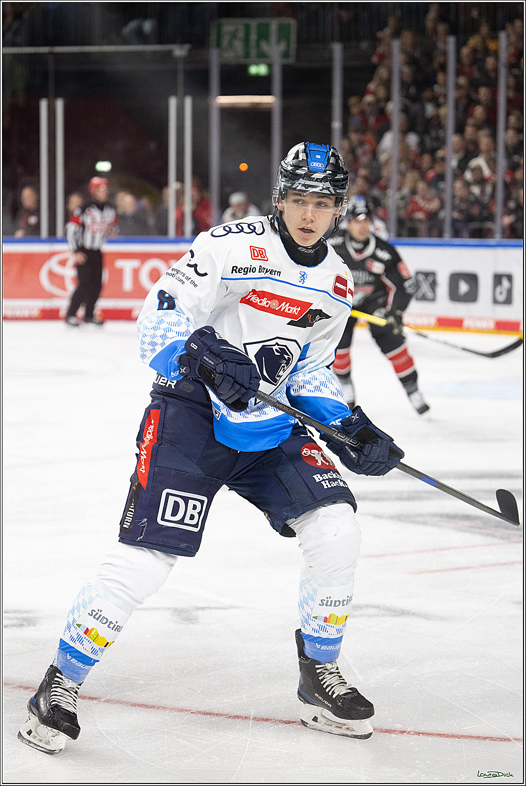 PENNY DEL; Koelner Haie-ERC Ingolstadt; Koeln, 22.11.2024