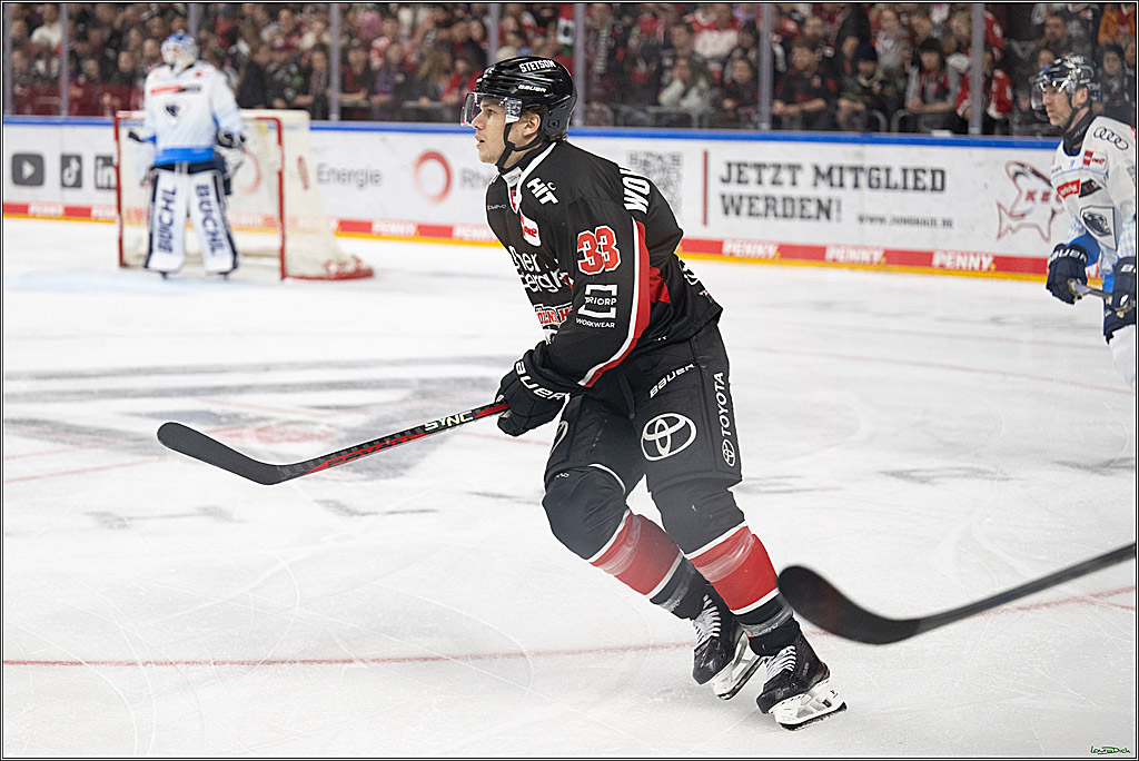 PENNY DEL; Koelner Haie-ERC Ingolstadt; Koeln, 22.11.2024