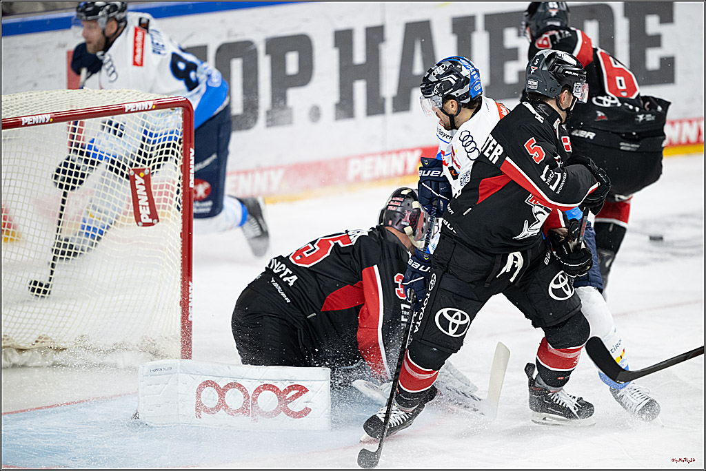 PENNY DEL 1; Kölner Haie - ERC Ingolstadt; Köln, 22.11.2024