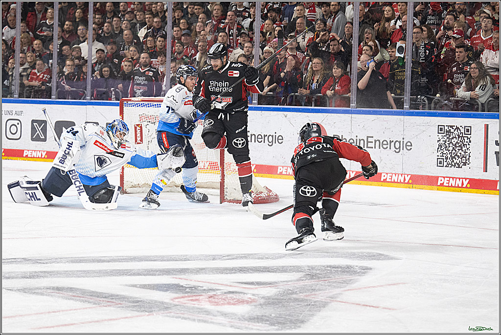 PENNY DEL; Koelner Haie-ERC Ingolstadt; Koeln, 22.11.2024