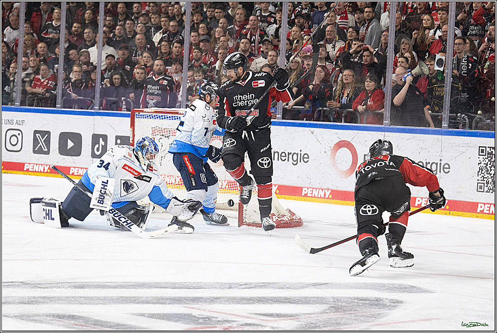PENNY DEL; Koelner Haie-ERC Ingolstadt; Koeln, 22.11.2024