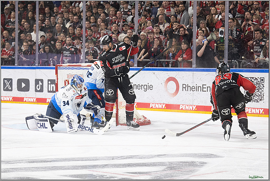 PENNY DEL; Koelner Haie-ERC Ingolstadt; Koeln, 22.11.2024