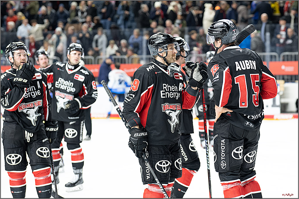 PENNY DEL 1; Kölner Haie - ERC Ingolstadt; Köln, 22.11.2024