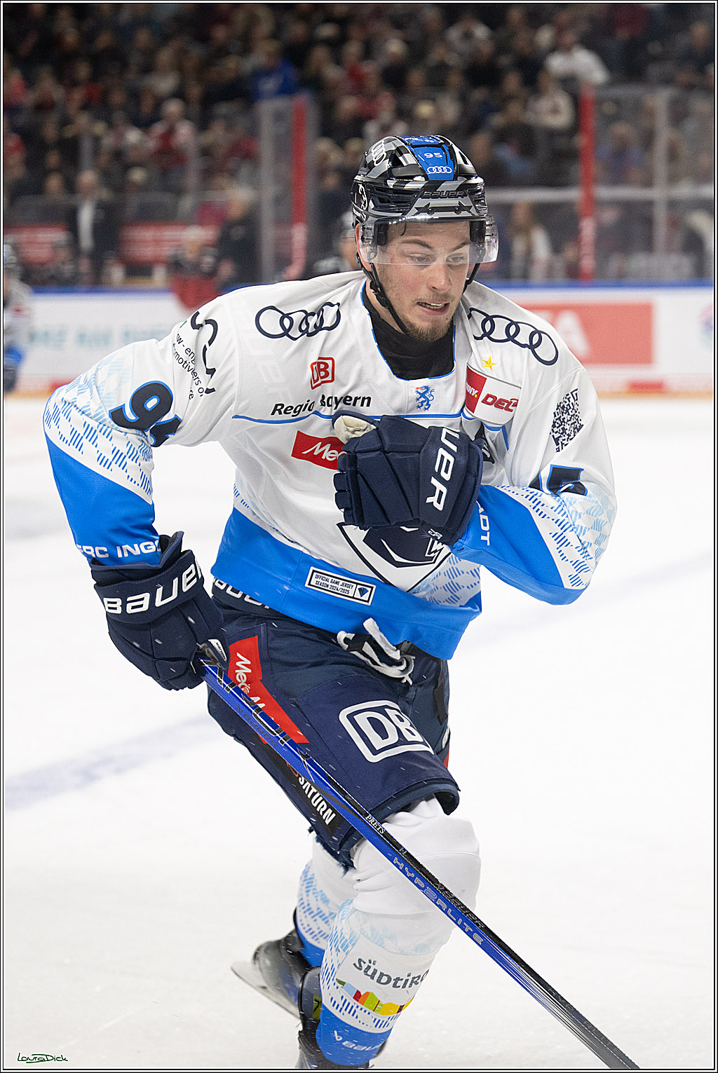 PENNY DEL; Koelner Haie-ERC Ingolstadt; Koeln, 22.11.2024