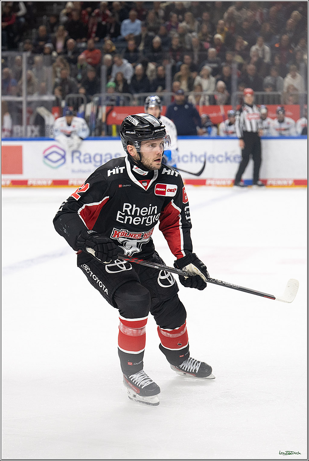 PENNY DEL; Koelner Haie-ERC Ingolstadt; Koeln, 22.11.2024