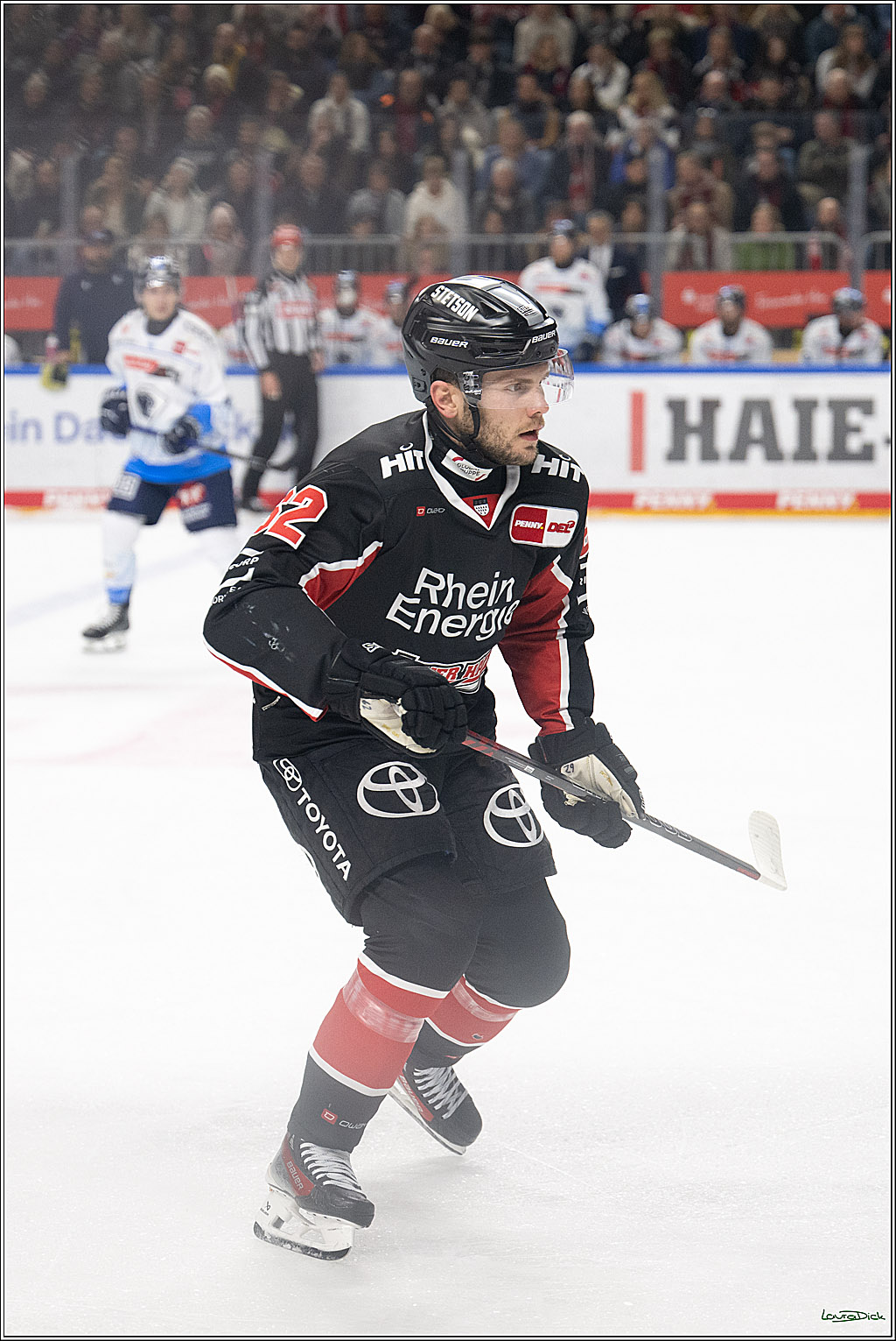 PENNY DEL; Koelner Haie-ERC Ingolstadt; Koeln, 22.11.2024