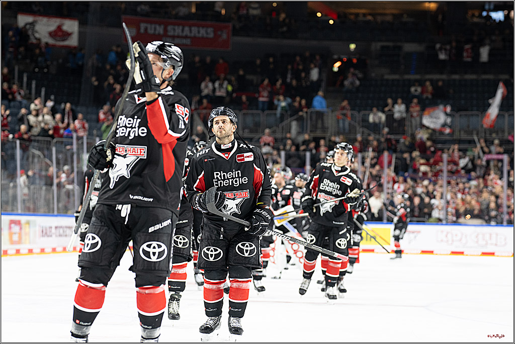 PENNY DEL 1; Kölner Haie - ERC Ingolstadt; Köln, 22.11.2024