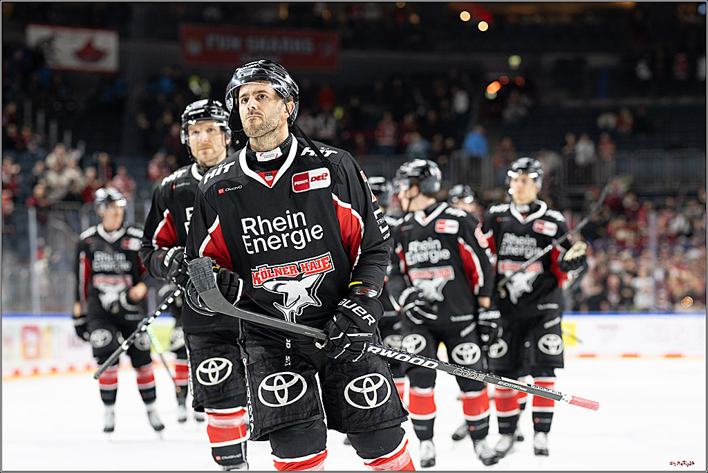 PENNY DEL 1; Kölner Haie - ERC Ingolstadt; Köln, 22.11.2024