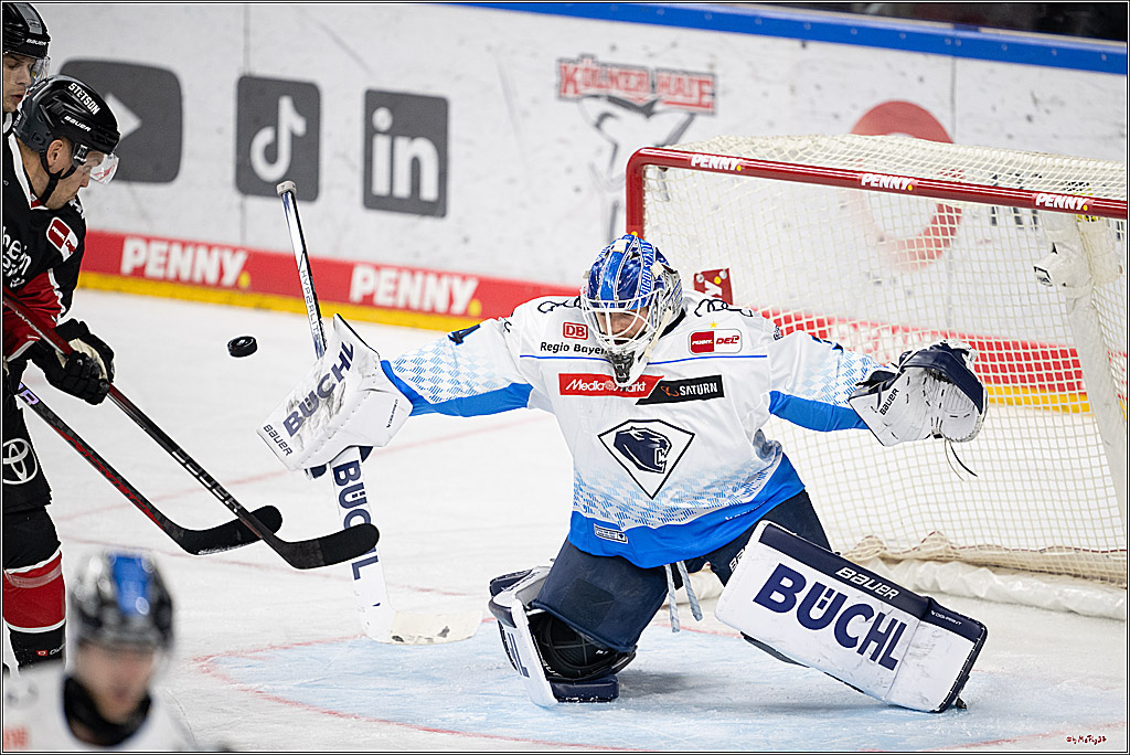 PENNY DEL 1; Kölner Haie - ERC Ingolstadt; Köln, 22.11.2024