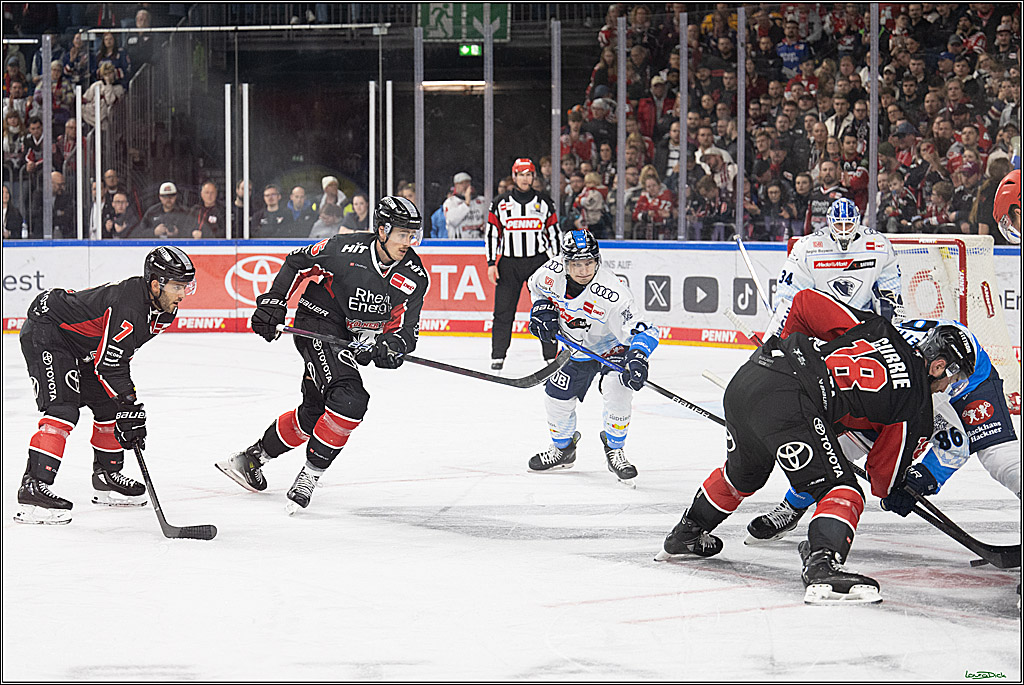 PENNY DEL; Koelner Haie-ERC Ingolstadt; Koeln, 22.11.2024
