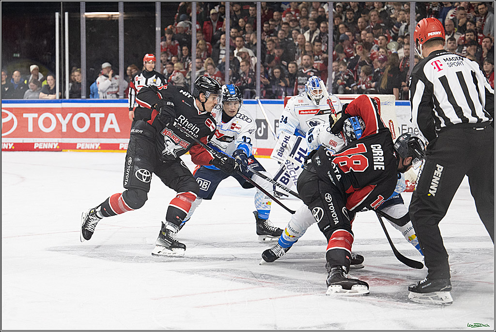 PENNY DEL; Koelner Haie-ERC Ingolstadt; Koeln, 22.11.2024